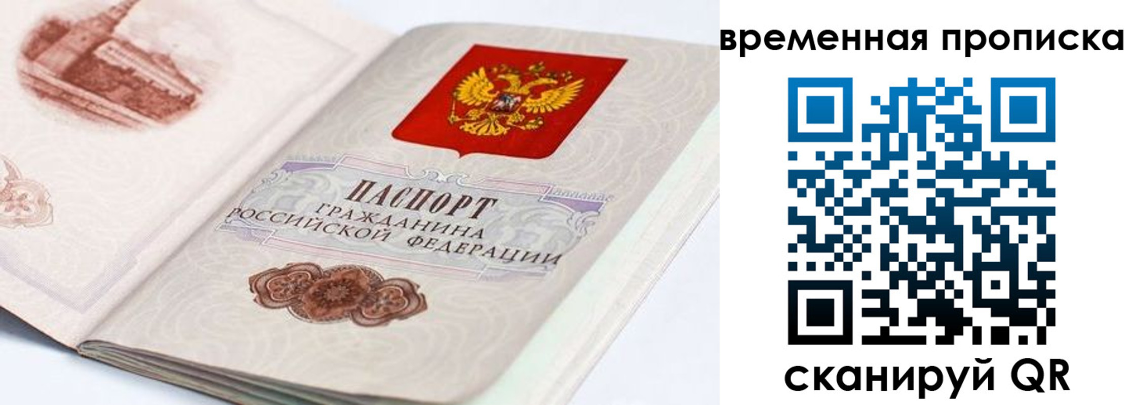 прописка 2025 в Александровске